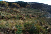 EHG5105_0707.JPG