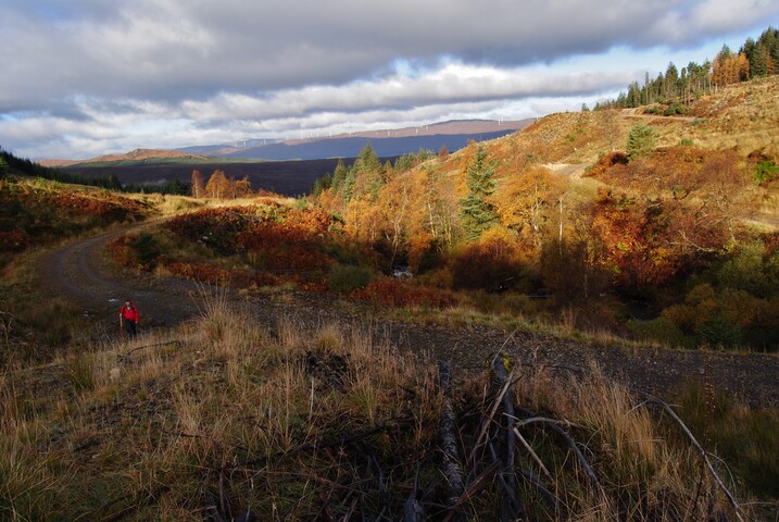 EHG5105_0710.JPG
