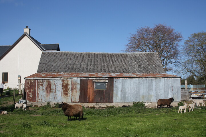EHG5112_09.JPG
