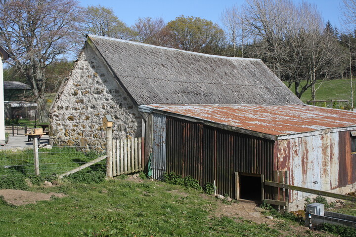 EHG5112_10.JPG