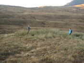 MHG28985_01.JPG