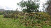 EHG5124_05.JPG