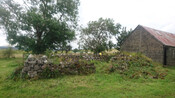 EHG5124_06.JPG
