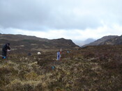 MHG7655_01.JPG