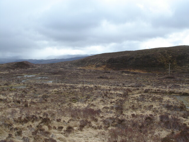 MHG7654_01.JPG