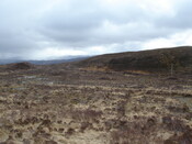 MHG7654_01.JPG