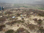 MHG7654_04.JPG