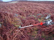 MHG7646_01.JPG