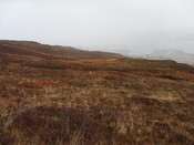 MHG57758_01.JPG