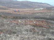 MHG57758_02.JPG