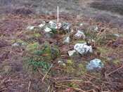 MHG57758_03.JPG