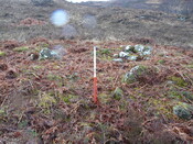 MHG57758_04.JPG