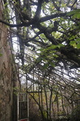 MHG48591_photo_07.jpg