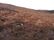 MHG57760_03.JPG