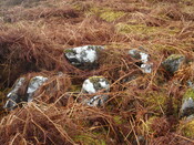 MHG57761_02.JPG