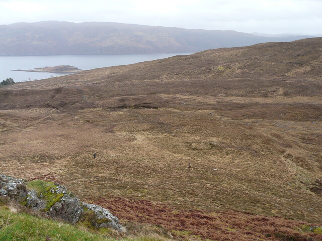 MHG7666_01.JPG