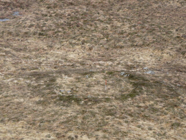 MHG7666_02.JPG