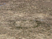 MHG7666_02.JPG