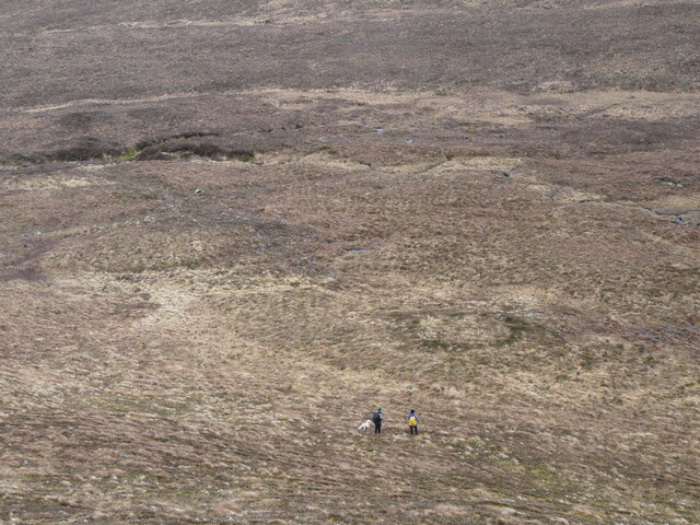 MHG7666_03.JPG