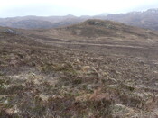 MHG7666_04.JPG
