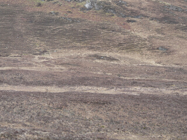 MHG7666_06.JPG