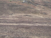 MHG7666_06.JPG