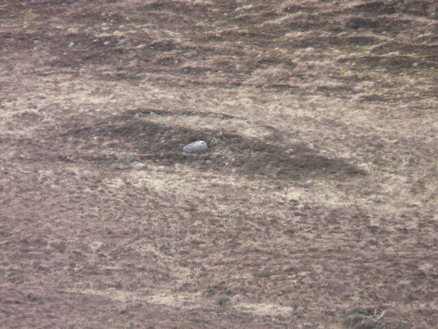 MHG7666_07.JPG
