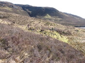 MHG9250_01.JPG