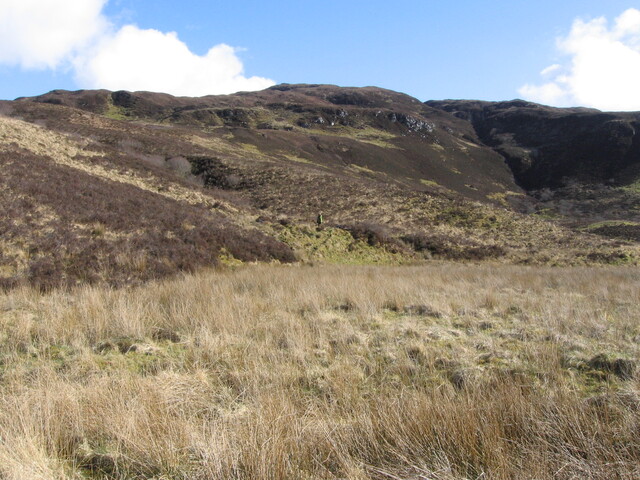 MHG9250_02.JPG