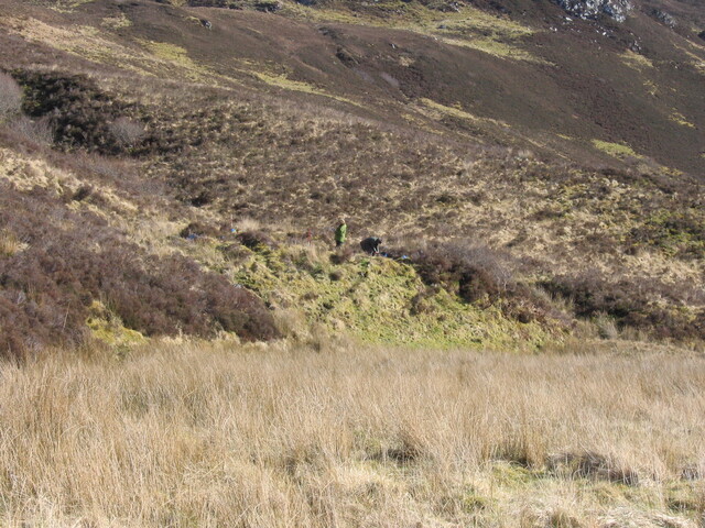 MHG9250_03.JPG