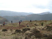 MHG57764_01.JPG