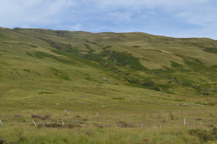 EHG5133_1.JPG