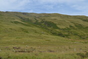 EHG5133_1.JPG
