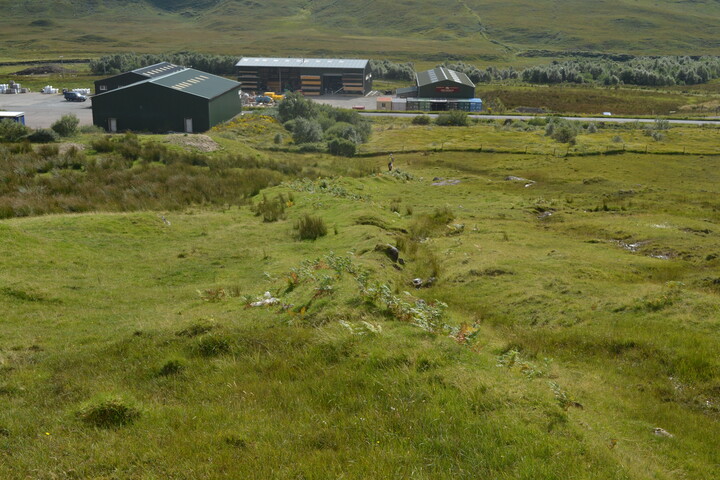 EHG5133_3.JPG