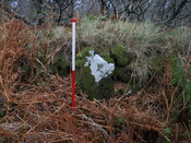 EHG5136_04.JPG