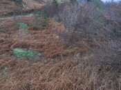 EHG5136_09.JPG