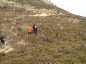MHG44594_01.jpg