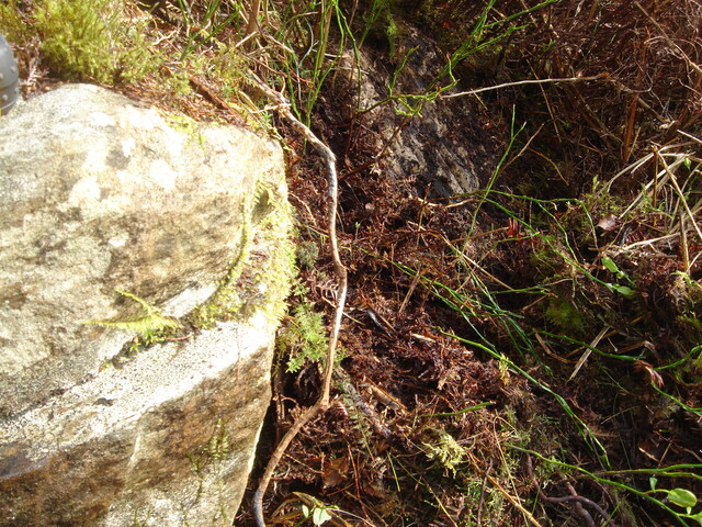 MHG45319_01.jpg