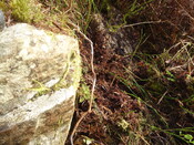 MHG45319_01.jpg