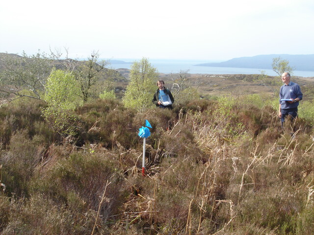 MHG45319_02.jpg