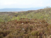 MHG45319_03.jpg