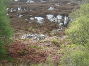 MHG45320_02.JPG