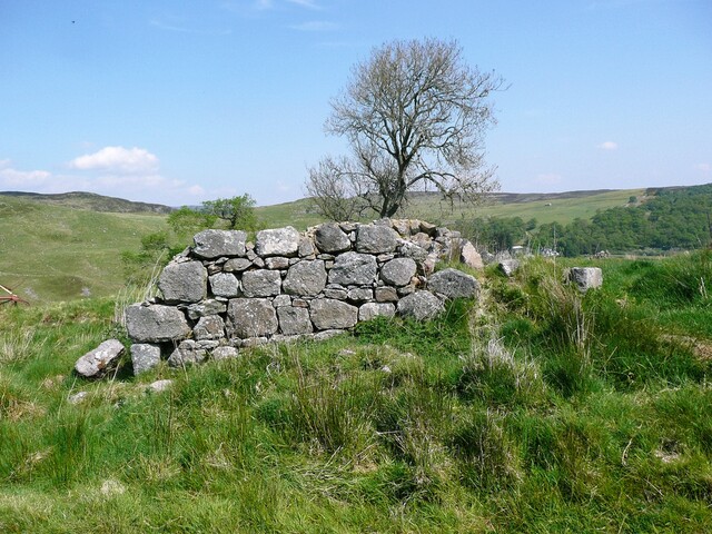 EHG5143_250.JPG