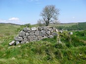 EHG5143_250.JPG