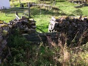 Nedd 355 Stone Byre Internal view 1.JPG