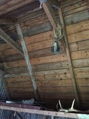 Nedd 355 Tin Barn Internal view 2.JPG