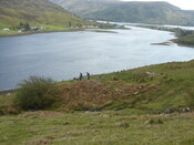 MHG9252_03.JPG