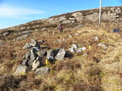 MHG7689_02.JPG
