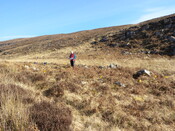 MHG7689_03.JPG