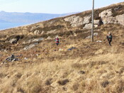 MHG7689_04.JPG